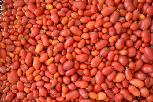 Pomodoro, Roma VF
