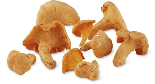 Fresca Chanterelles