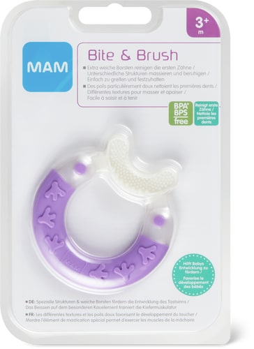 Beissring Bite + Brush