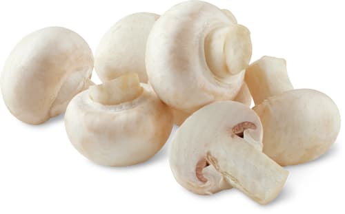 Champignons weiss