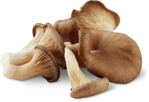 Migros Bio Pleurotus
