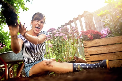 Bio Garden Fertiliser Sticks For the Garden