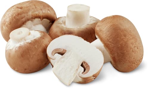 Champignons braun