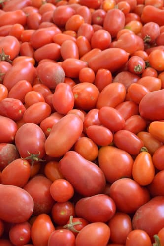Pomodoro, Roma VF