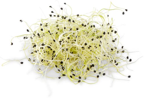 Migros Bio Zwiebel Sprossen