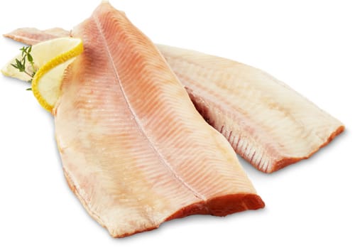Bio Forellenfilets