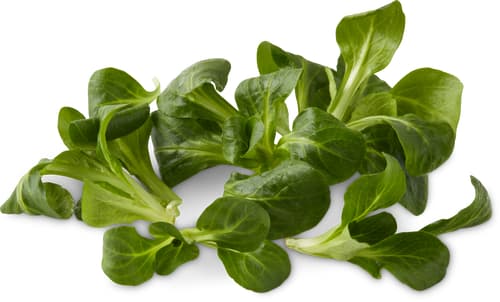 Migros Bio Nüsslisalat