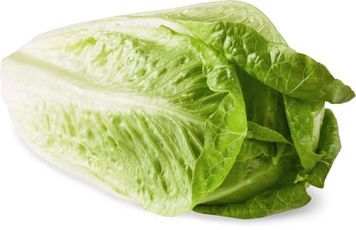 Fresca Romaine Lettuces Mini Green