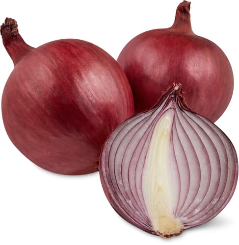 Zwiebeln rot
