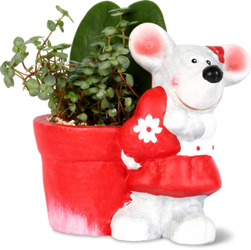 Terrine d’intérieur Rita 5