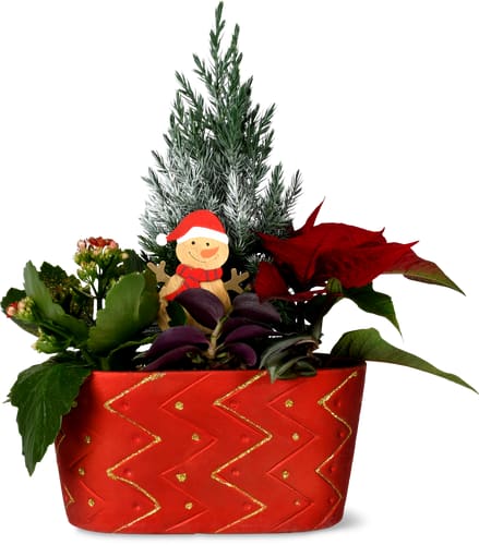 Festive Planter