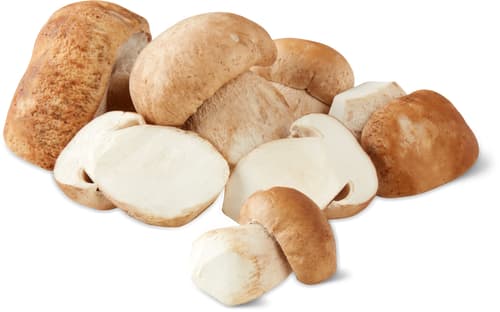 Bolets