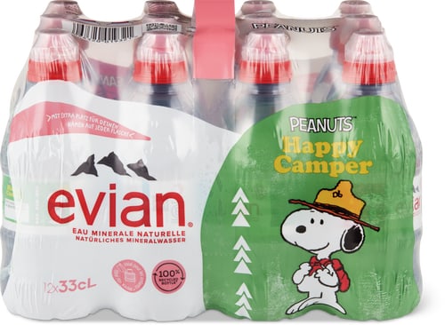 Evian Mini naturale