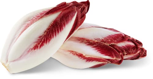 Fresca Chicory Red