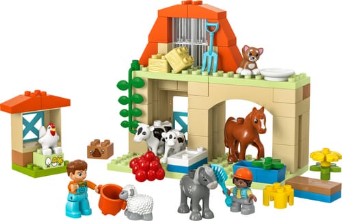 LEGO DUPLO 10416