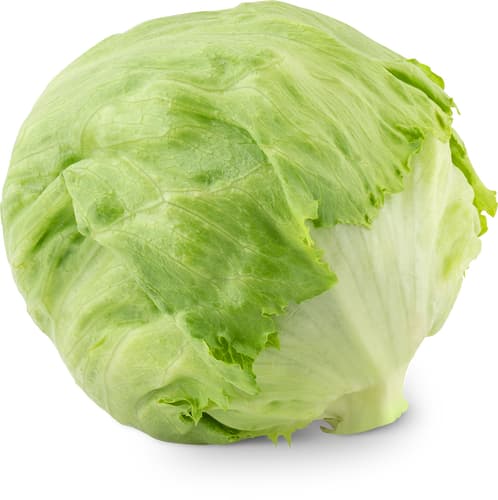 Migros Bio Eisbergsalat