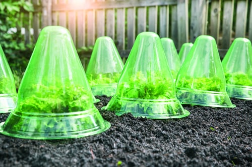 Windhager Plant Hat 24 cm