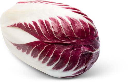 Cicorino rosso Trevisano