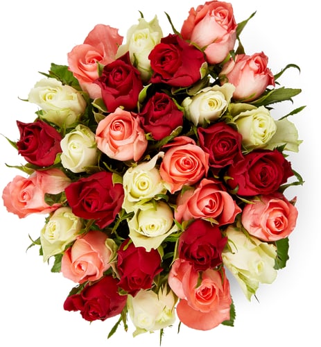 M-Classic Fairtrade Minirosen, Bund 30 Stück, Stiellänge 40 cm