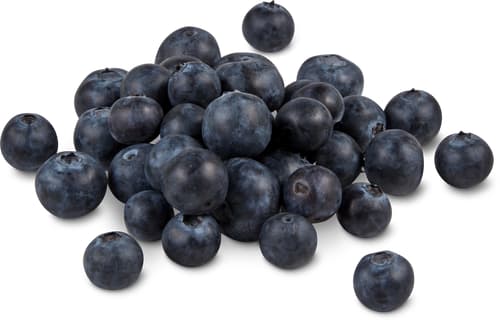 Extra Blueberries
