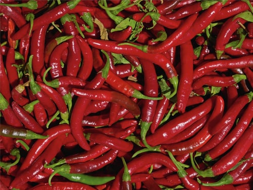 SPICY CHILI DE CAYENNE