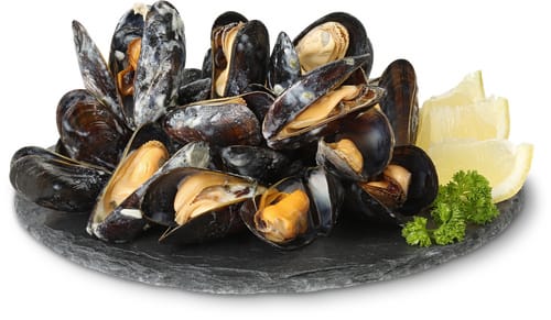 M-Classic MSC Muscheln Knoblauch