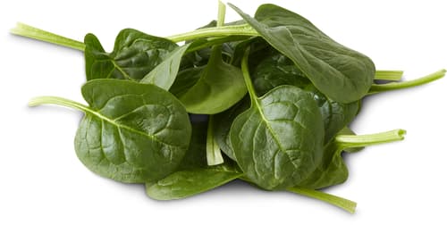 Migros Bio Spinat