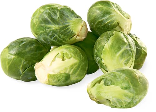 Cavoletti di Bruxelles
