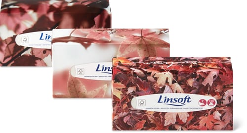 Linsoft Cosmetic Wipes Box 2-Ply