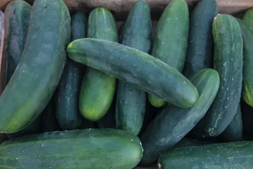 GURKE MARKETMORE