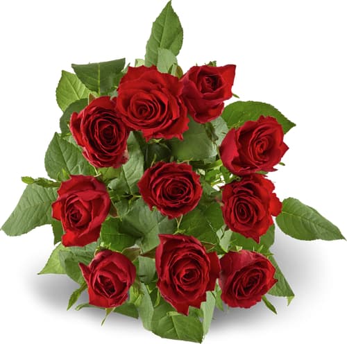 Fairtrade rosen grande 50cm