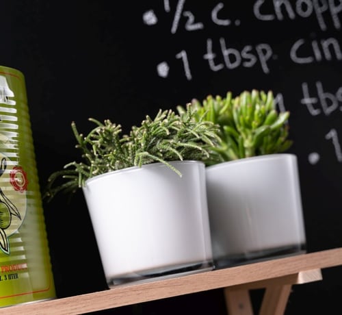 Glass Planter 14.5 cm