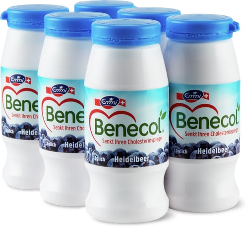 Benecol Heidelbeeren