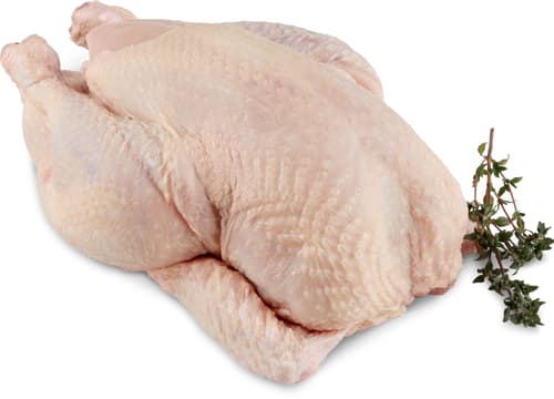 Migros Bio pollo intero