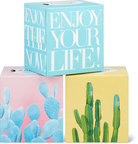 Linsoft Cosmetic Wipes Cube 2-Ply
