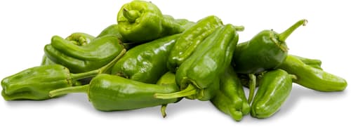 Pimientos tipo Padron