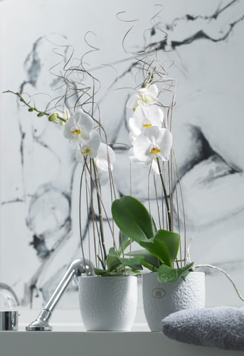 Planter Ø19 white