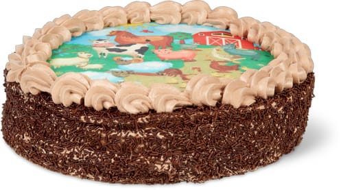 Gâteau pour enfant au chocolat