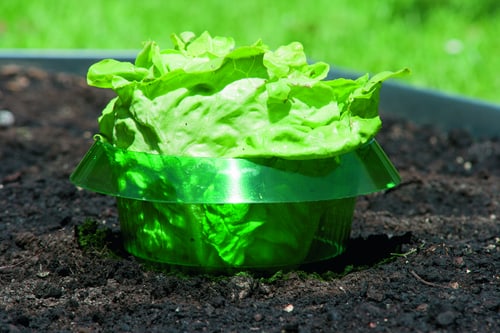 Windhager Snail Stop Barrier Rings 24 cm