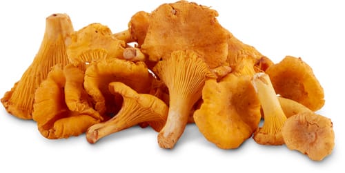 Chanterelles