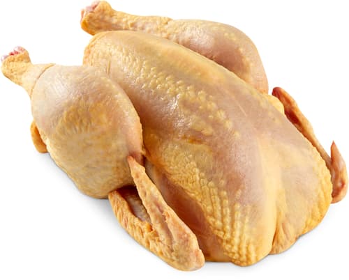Freilandpoulet