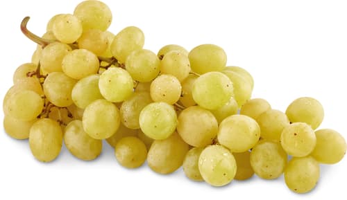 Extra Trauben Muscat kernlos