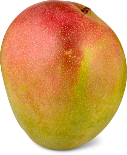 Mangue