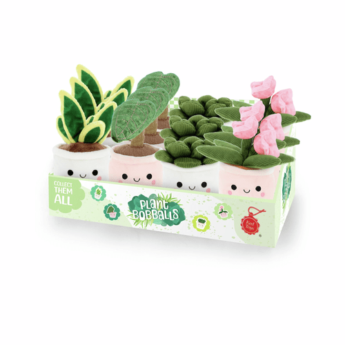 Plantes Bobballs assorties 12 cm
