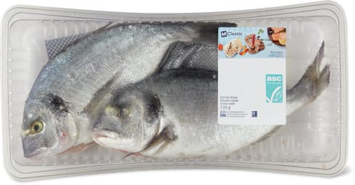 M-Classic ASC Sea Bream