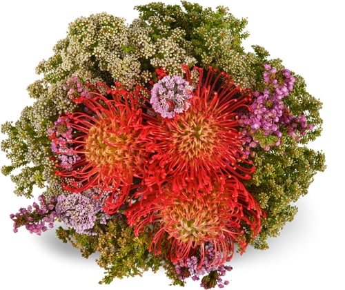 Mazzo con verde del Capo