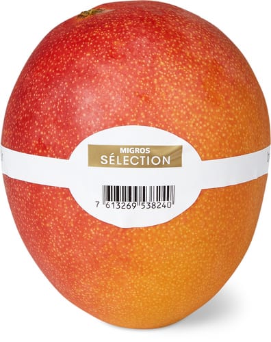Sélection Mango baumgereift