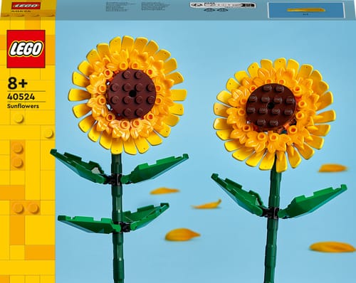 Creator 40524