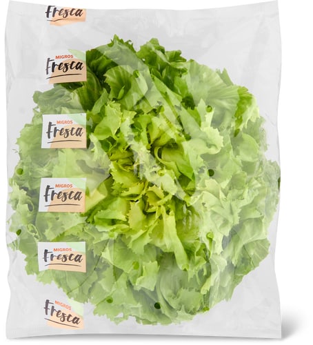 Fresca Endives Lavata