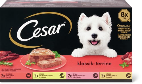 Terrina classica con manzo, pollo, vitello e tacchino